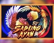 Sabung Ayam Sabung Ayam